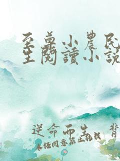 至尊小农民王木生阅读小说