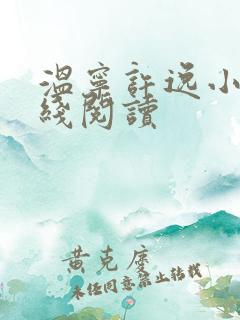 温宁许逸小说在线阅读