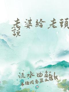 老婆给老头搞小说