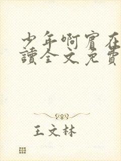 少年啊宾在线阅读全文免费阅读最新