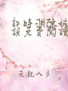 许时渊陈婉婷小说免费阅读最新章节