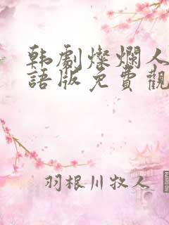 韩剧灿烂人生国语版免费观看