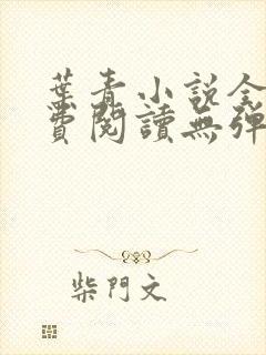 叶青小说全文免费阅读无弹窗