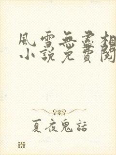 风雪无尽相思情小说免费阅读