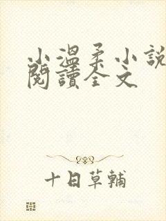 小温柔小说免费阅读全文