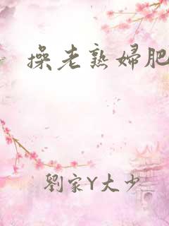 操老熟妇肥b