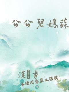 公公儿媳苏晴