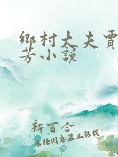 乡村大夫贾蕾贾芳小说