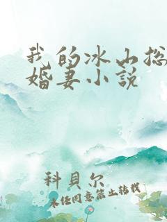 我的冰山总裁未婚妻小说