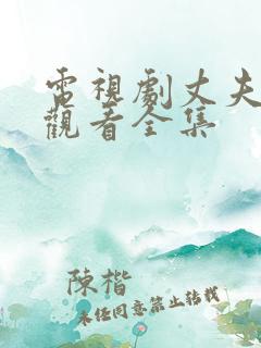 电视剧丈夫在线观看全集