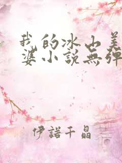 我的冰山美女老婆小说无弹窗