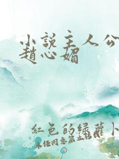 小说主人公陈斌赵心媚