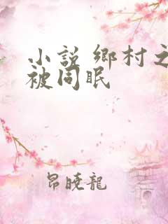 小说 乡村之大被同眠