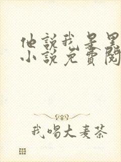 他说我是黑莲花小说免费阅读
