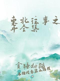 东北往事之二十年全集