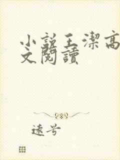 小说王洁高义全文阅读