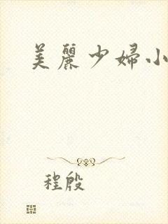美丽少妇小说