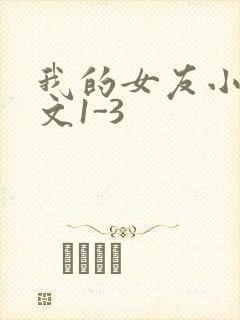 我的女友小洁全文1-3
