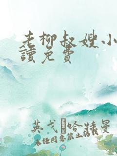 老柳叔嫂小说阅读免费