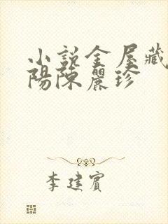 小说金屋藏娇宋阳陈丽珍