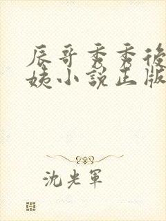 辰哥秀秀后妈丽姨小说正版阅读