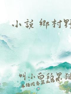 小说 乡村野事