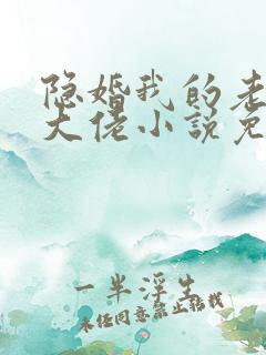 隐婚我的老公是大佬小说免费阅读