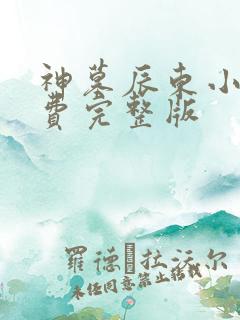 神墓辰东小说免费完整版