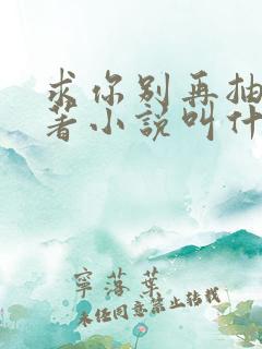 求你别再抽了原著小说叫什么