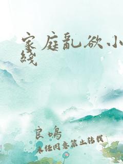 家庭乱欲小说在线