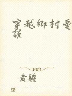 穿越乡村爱情小说