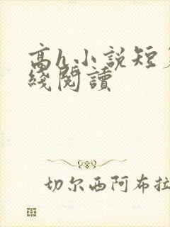 高h小说短篇在线阅读