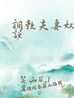 调教夫妻奴的小说