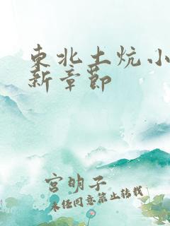 东北土炕小说最新章节