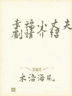 幸福小丈夫分集剧情介绍
