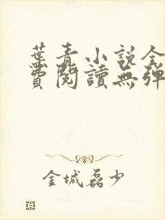 叶青小说全文免费阅读无弹窗