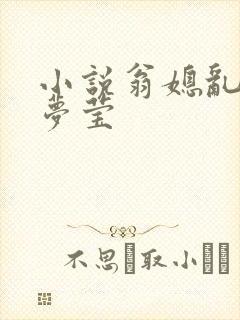 小说翁媳乱情周梦莹