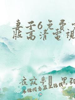 妻子6免费完整版高清电视剧姐