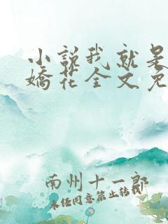 小说我就是如此娇花全文免费阅读