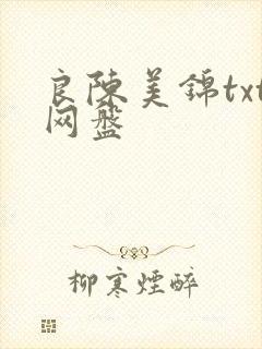 良陈美锦txt网盘