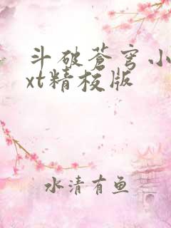 斗破苍穹小说txt精校版