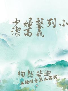 少妇系列小说白洁高义
