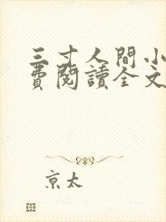三寸人间小说免费阅读全文