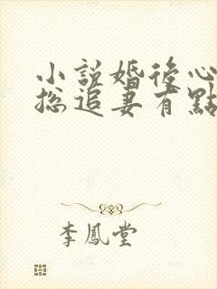 小说婚后心动凌总追妻有点甜在线阅读