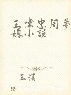 王伟忠周梦莹儿媳小说