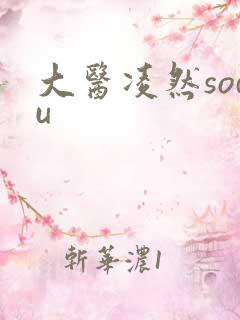 大医凌然sodu