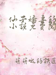 仙子娇妻的坐莲小说免费阅读