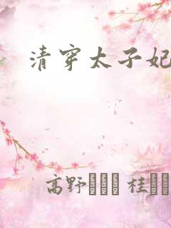 清穿太子妃小说