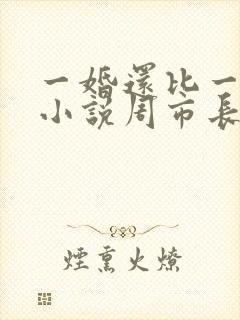 一婚还比一婚高小说周市长