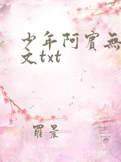 少年阿宾无删全文txt